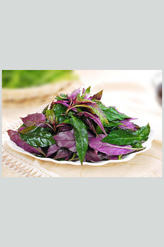 餐饮美食图片血皮菜