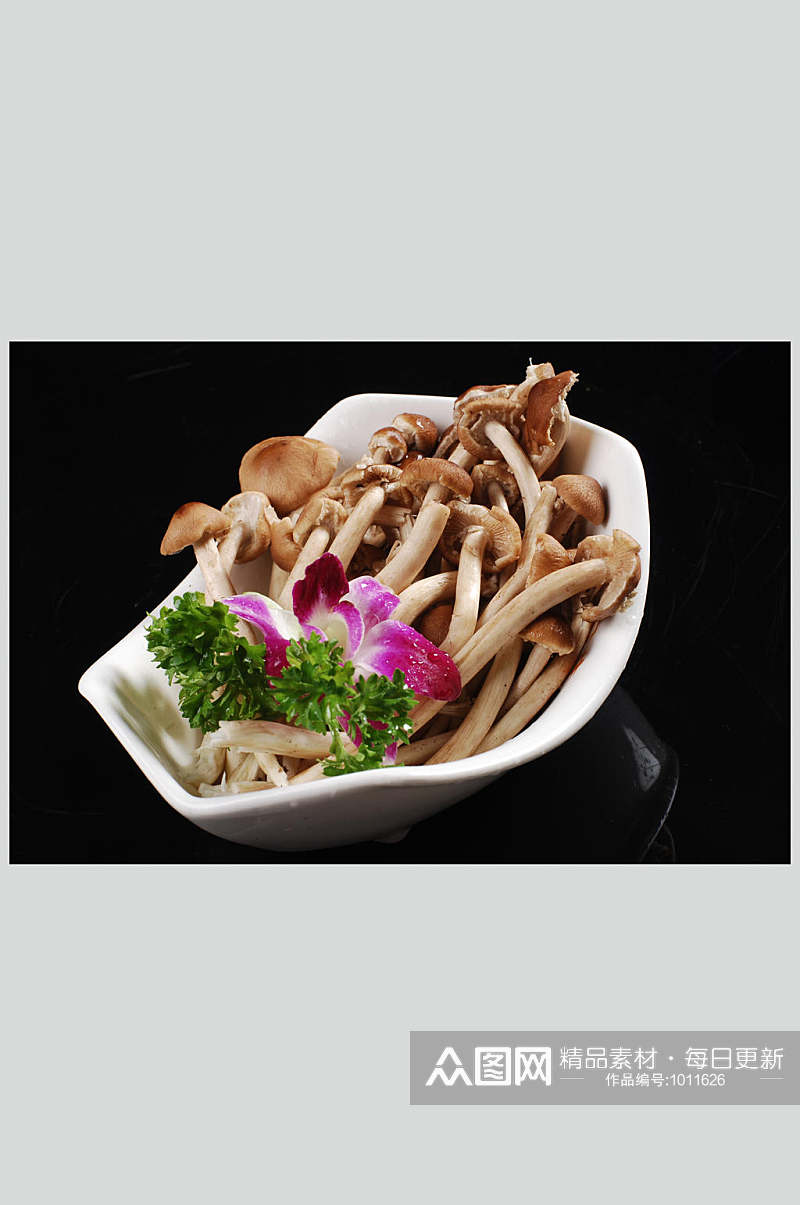 鲜茶树菇美食高清图片素材