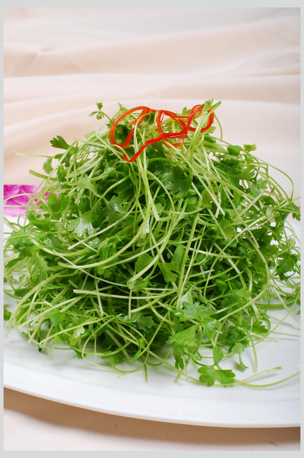 三叶香蔬菜高清图片素材