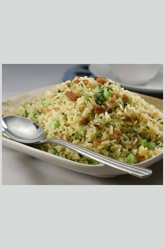 咸鱼鸡粒炒饭元例