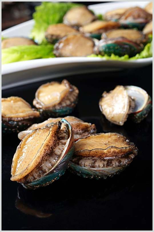 高清菜品摄影图片生猛海鲜-鲍鱼仔