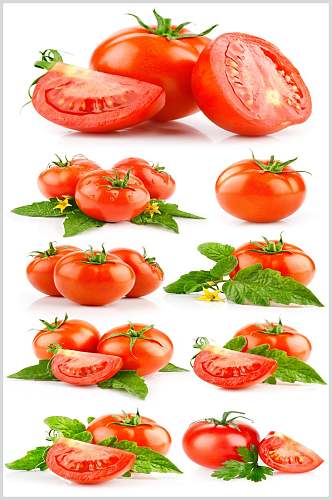 西红柿高清摄影图
