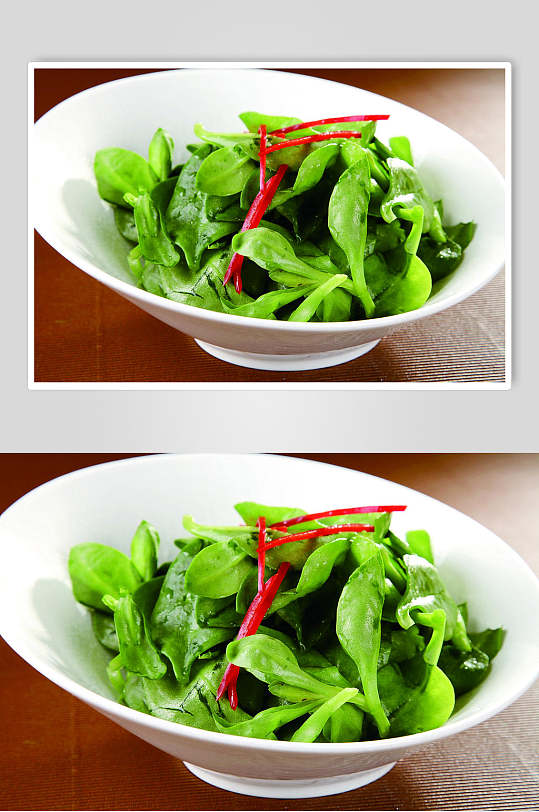 凉拌田七苗-众图网