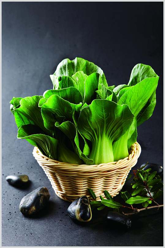 上海青高清图片