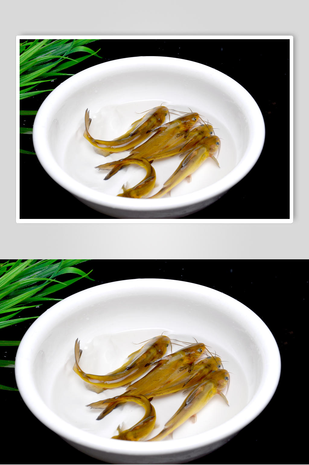 黄辣丁高清菜品摄影图片素材