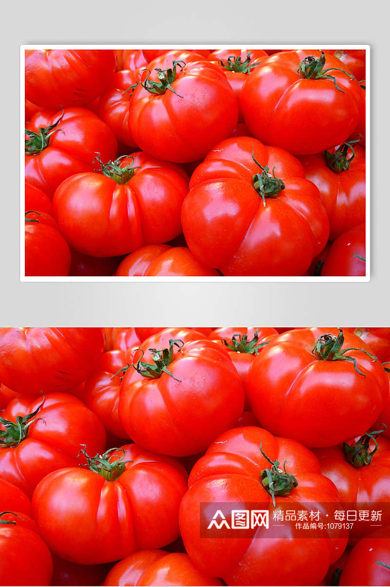 高清西红柿图片素材