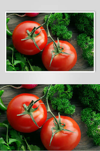 西红柿蔬菜高清摄影图片素材