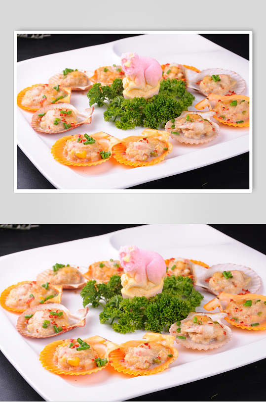 海鲜孔雀贝图片-海鲜孔雀贝素材下载-众图网