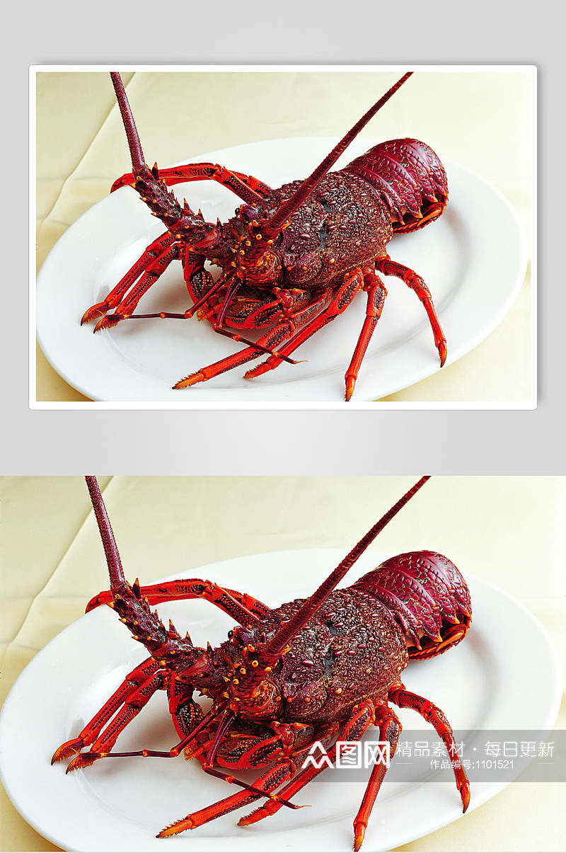 高清菜品摄影图片澳洲龙虾素材