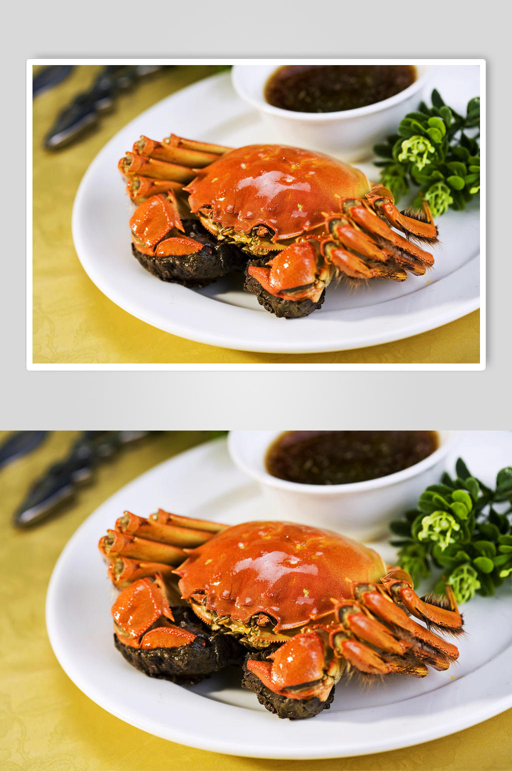 大闸蟹美食图片素材素材