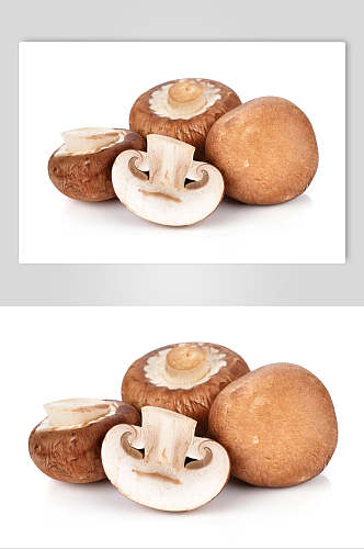 能吃的蘑菇图片大全大图高清图