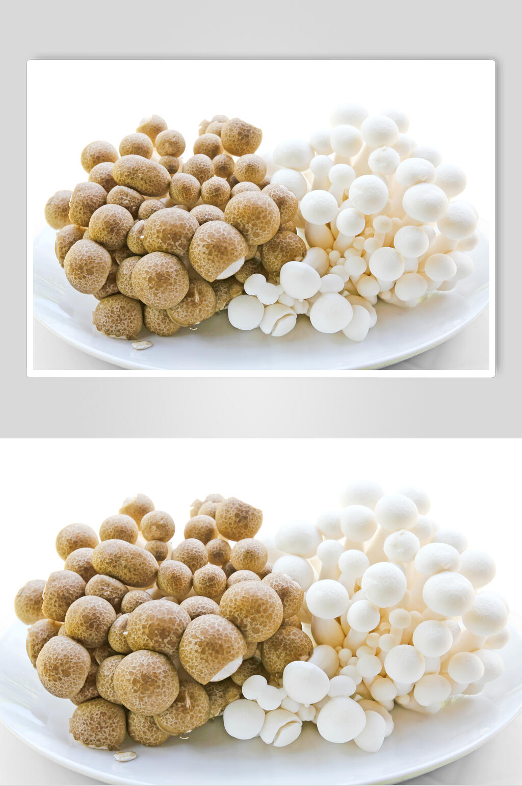 白玉菇图片素材