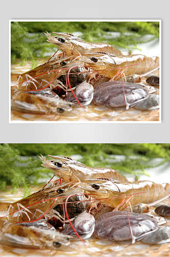基尾虾餐饮美食图片