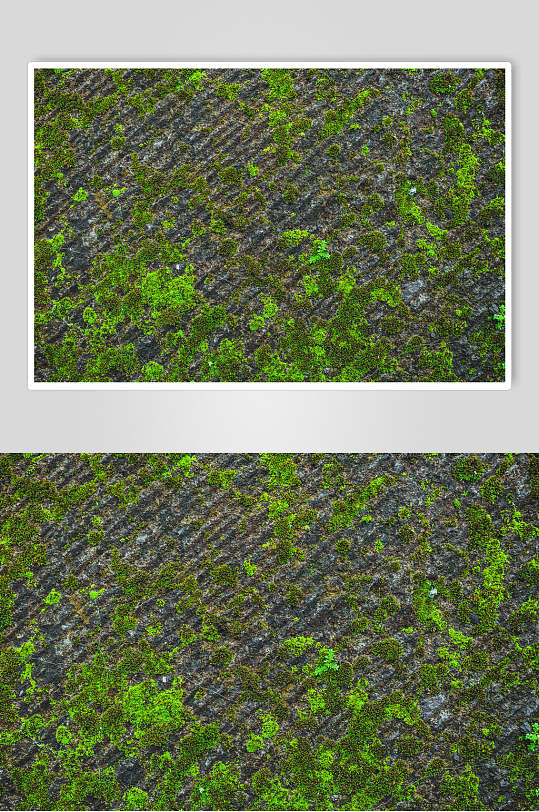 青苔石头墙壁贴图