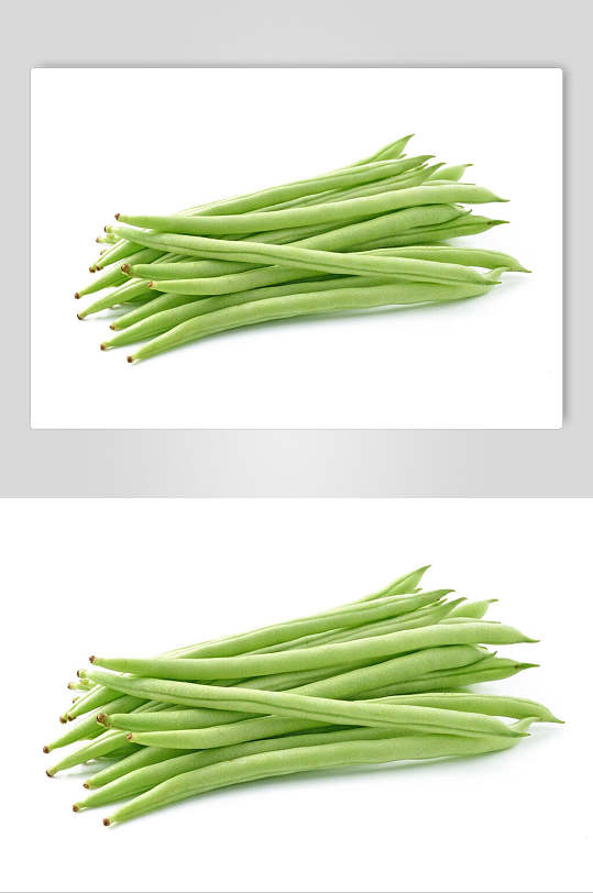 四季豆高清图片