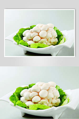 白玉菇美食图片