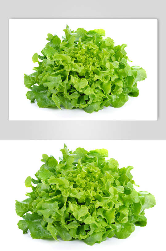 青菜炕豆腐高清图片-青菜炕豆腐高清素材下载-众图网