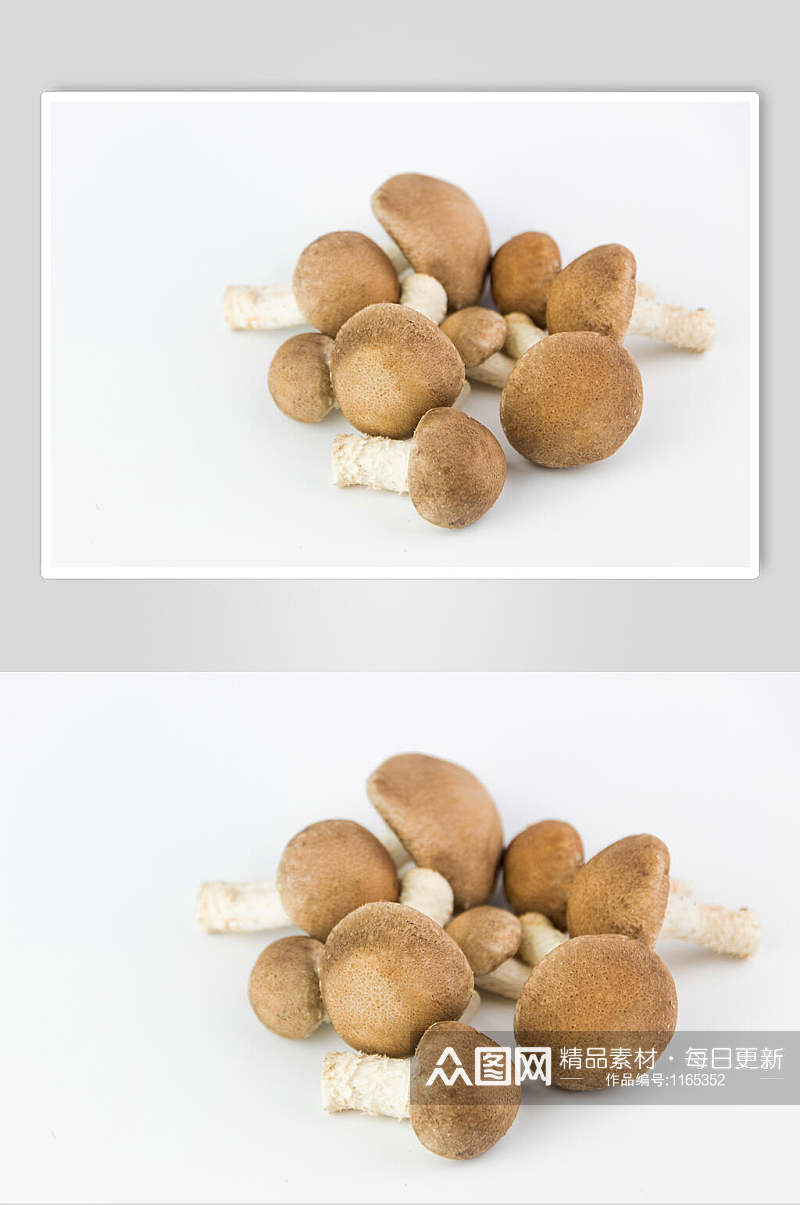 香菇高清图片素材