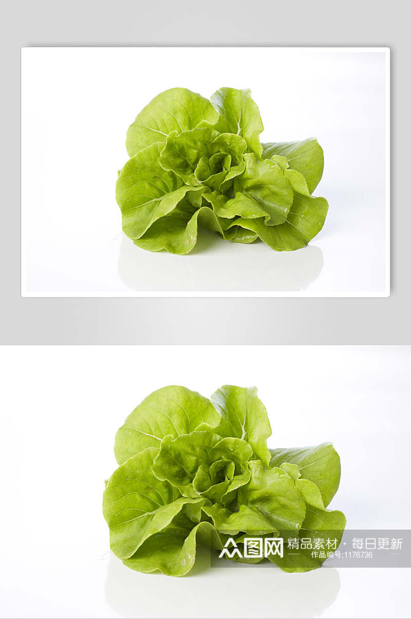 青菜蔬菜图片素材