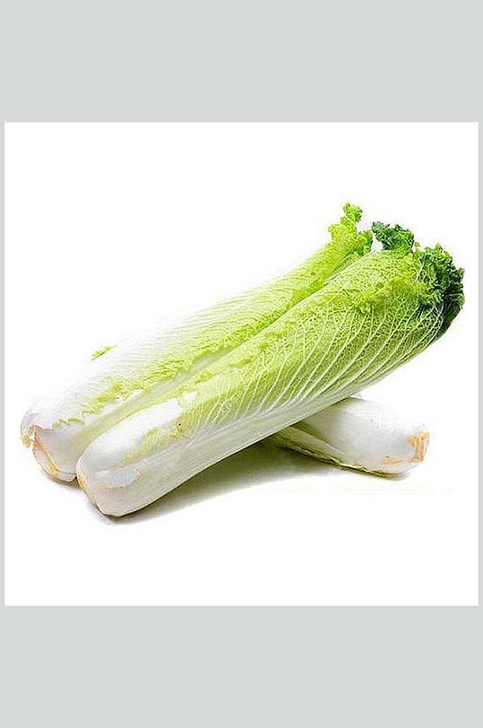 天津白高清图片