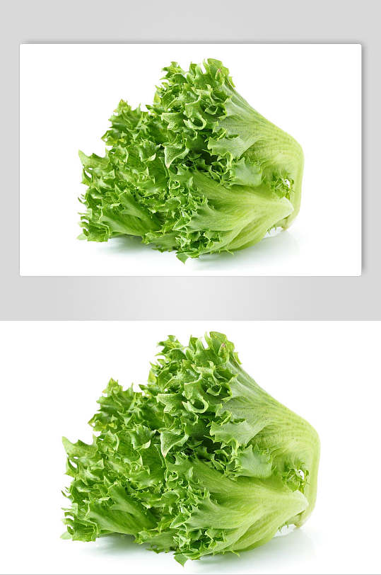 生菜高清美食摄影图片