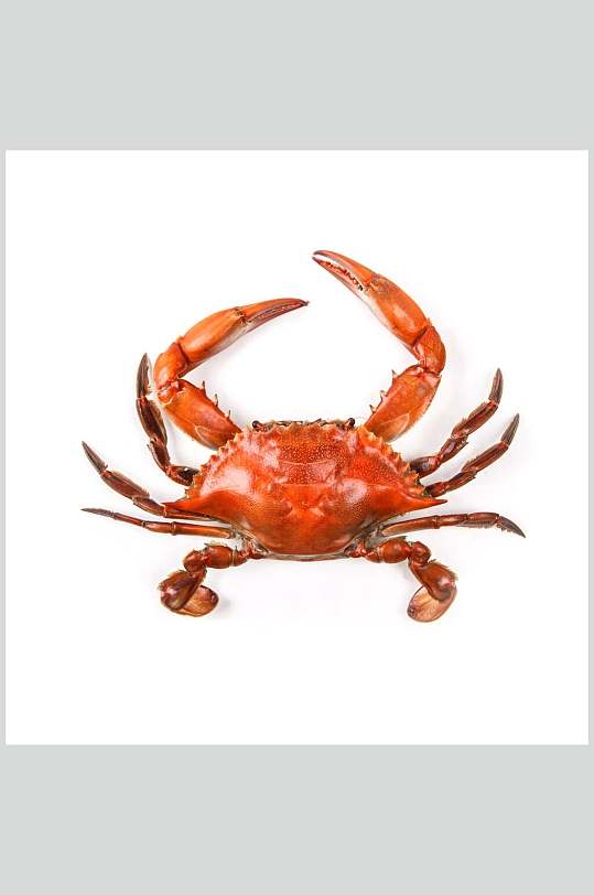 高清海鲜美食图片大螃蟹大闸蟹