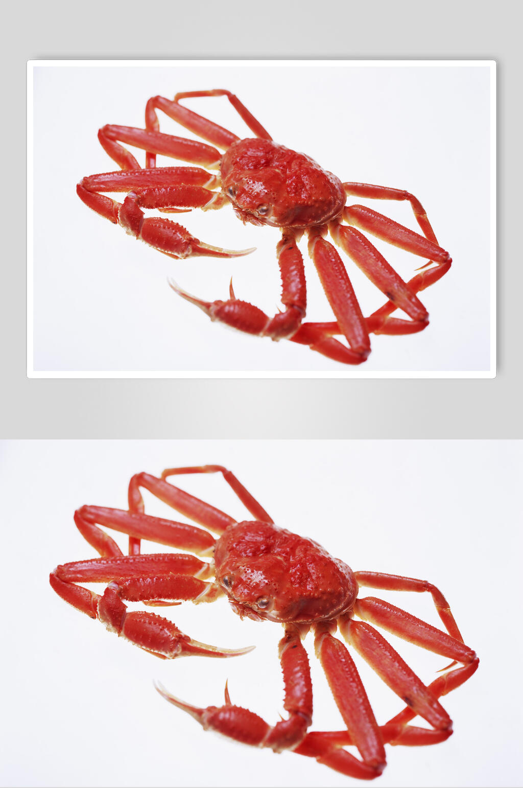 鲜虾帝王蟹素材