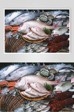 高清海鱼海鲜图片