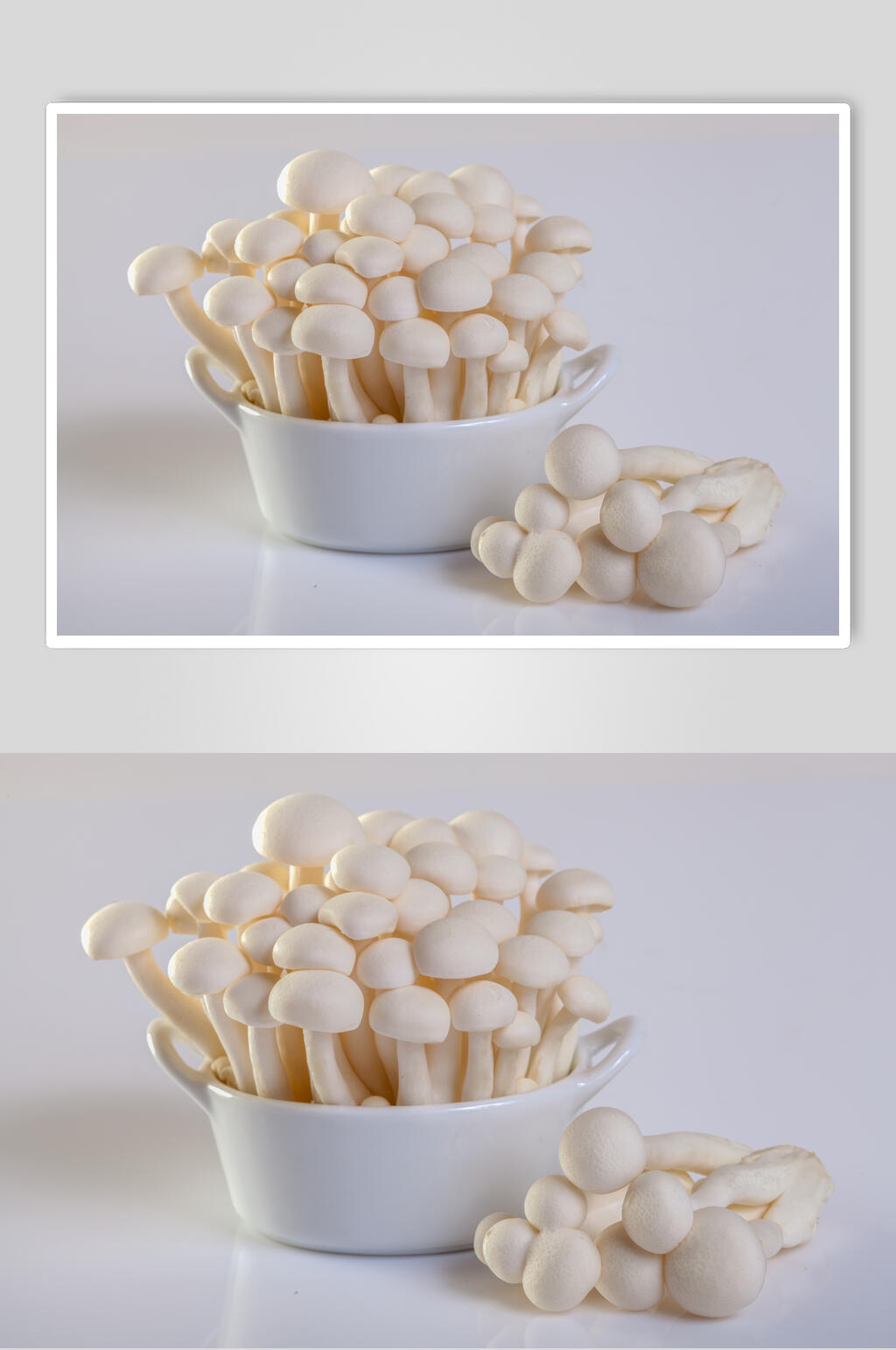 菌子蔬菜素材