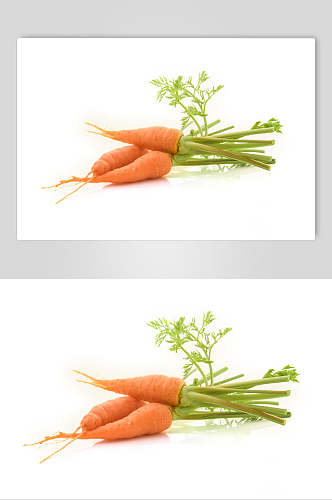 胡萝卜蔬菜图片