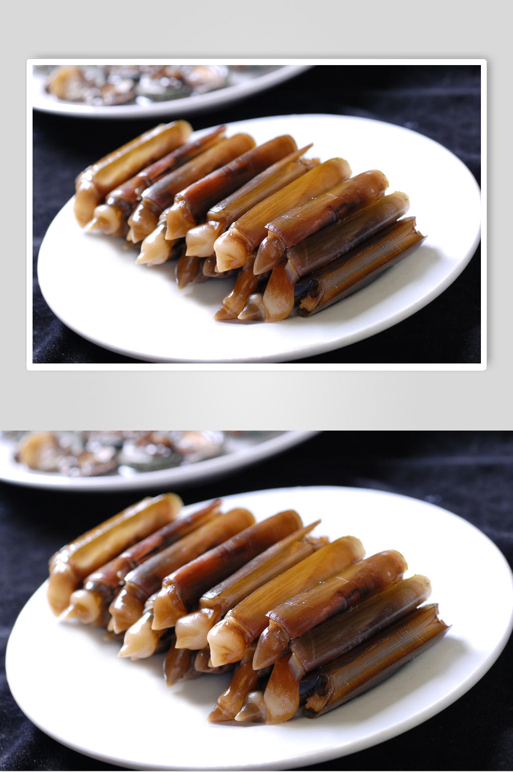 蛏子皇高清图片素材