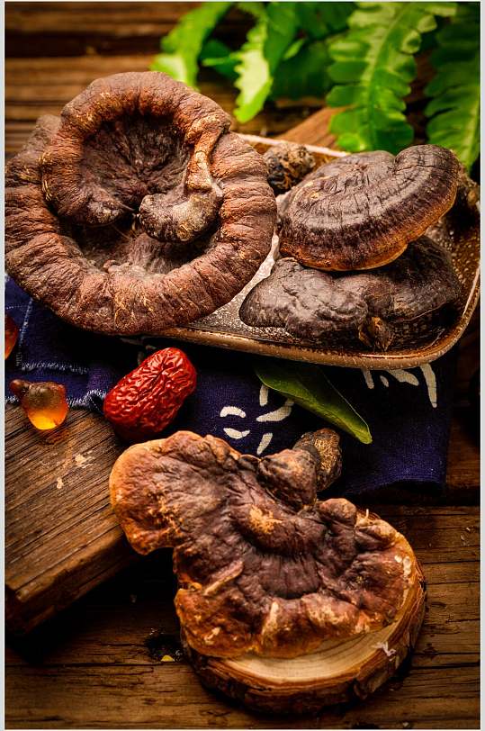 高清中药补品千年灵芝