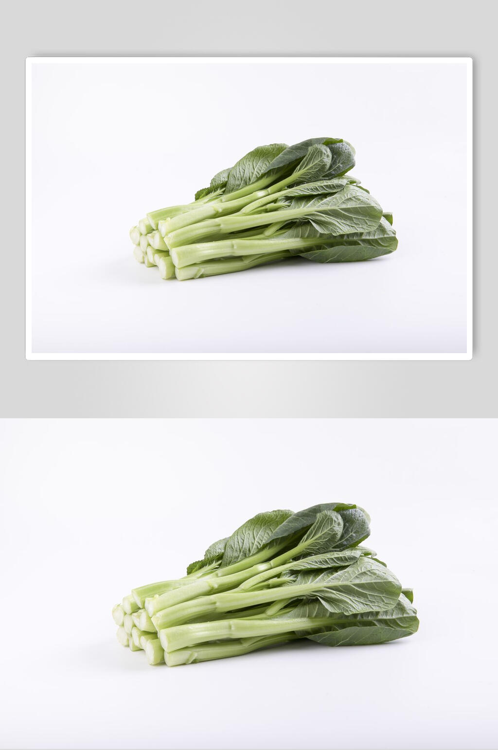 油菜高清图片素材