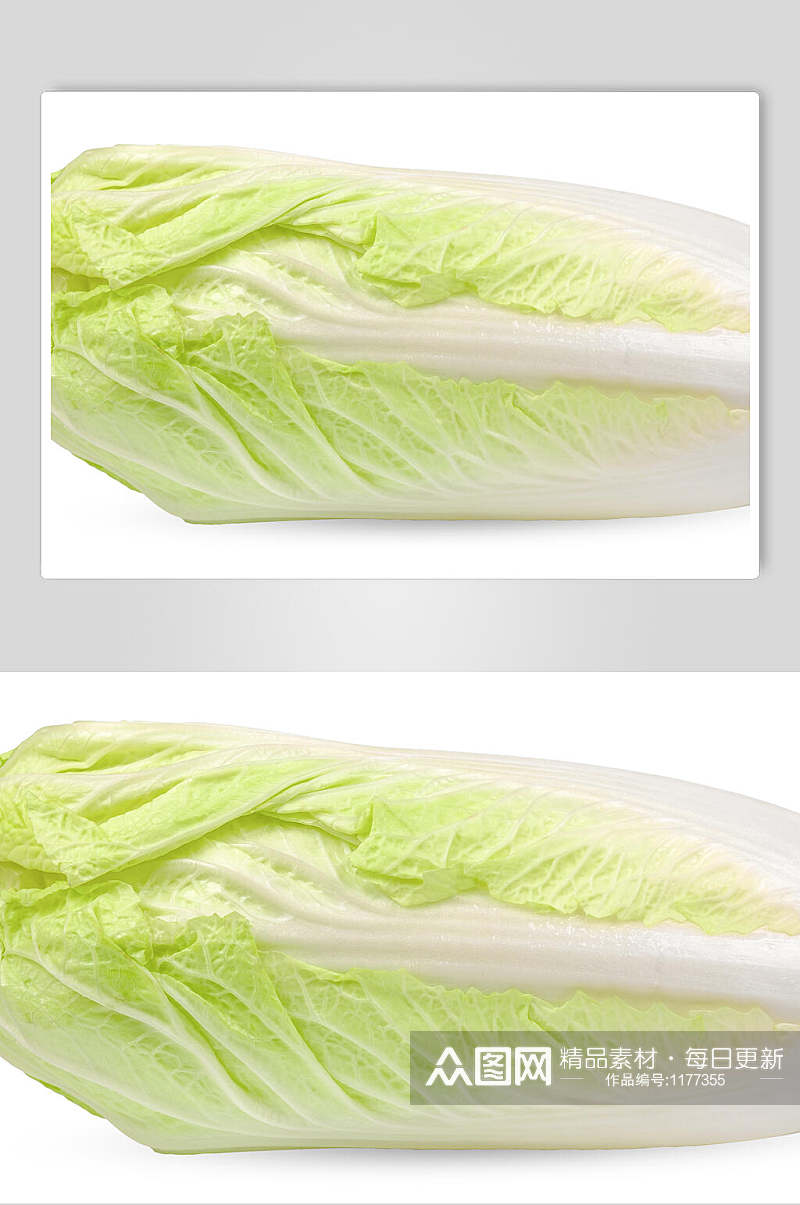 大白菜蔬菜图片素材