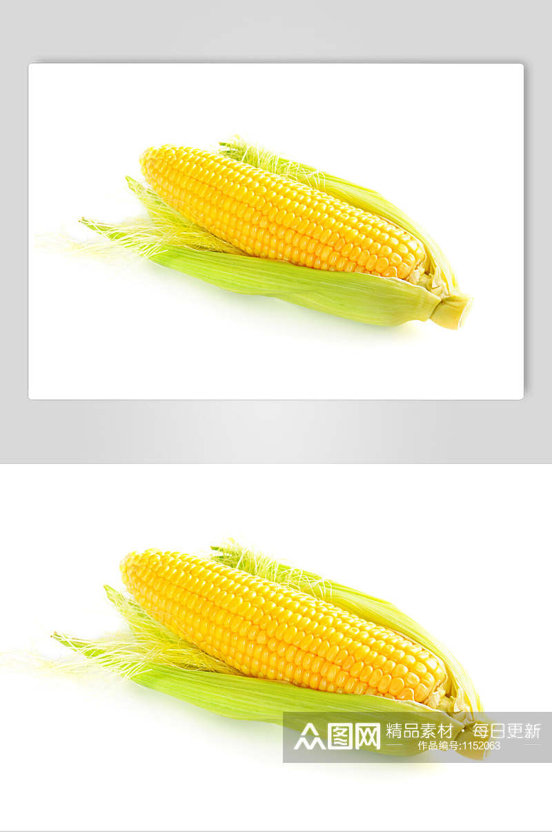 玉米高清图素材