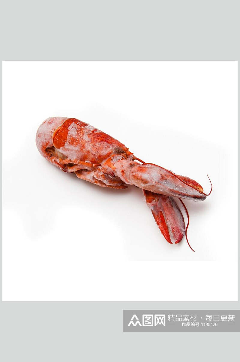高清海鲜图片虾类素材