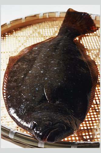 海鲜斑鱼