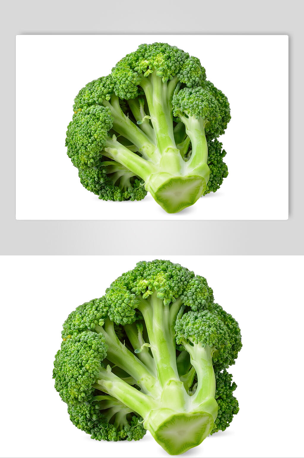 有机西兰花素材