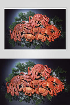 帝王蟹餐饮美食图片