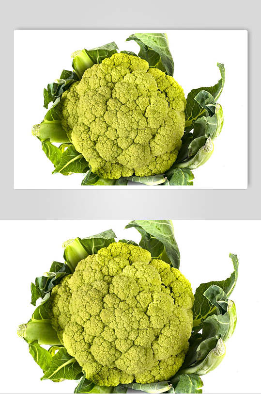 花椰菜图片 花椰菜素材下载 众图网