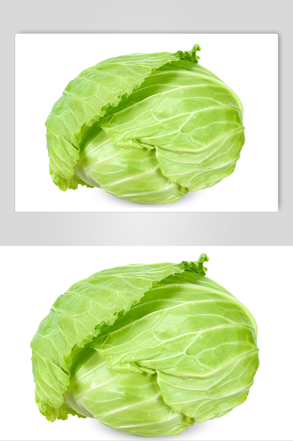 包菜蔬菜图片素材