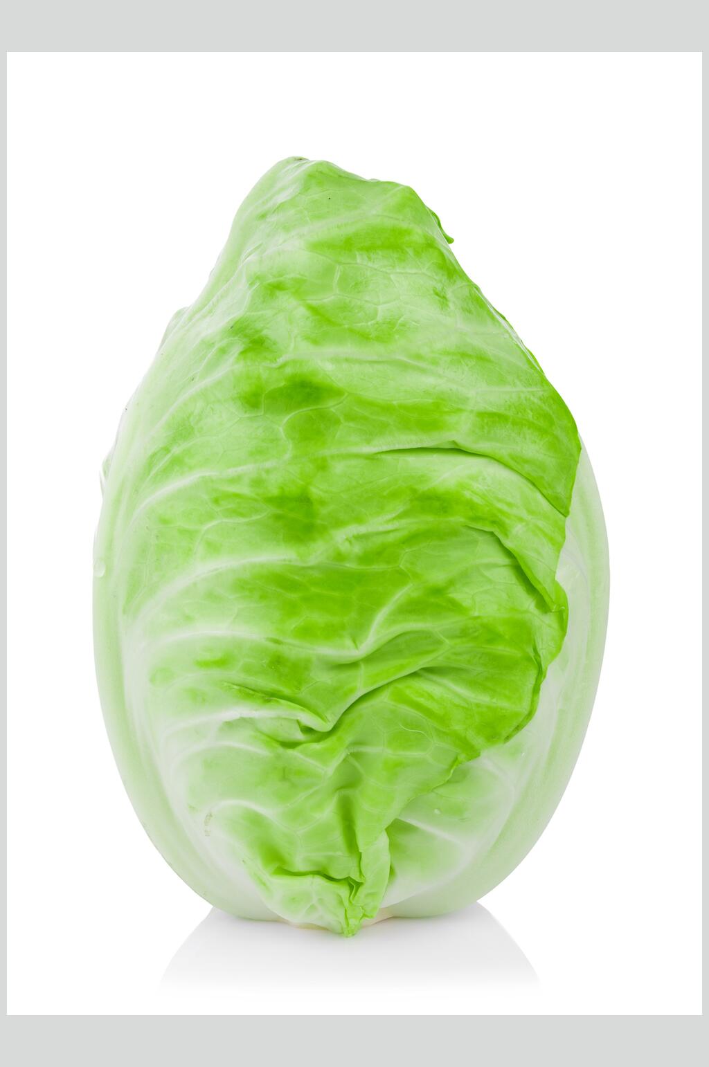青菜图片素材