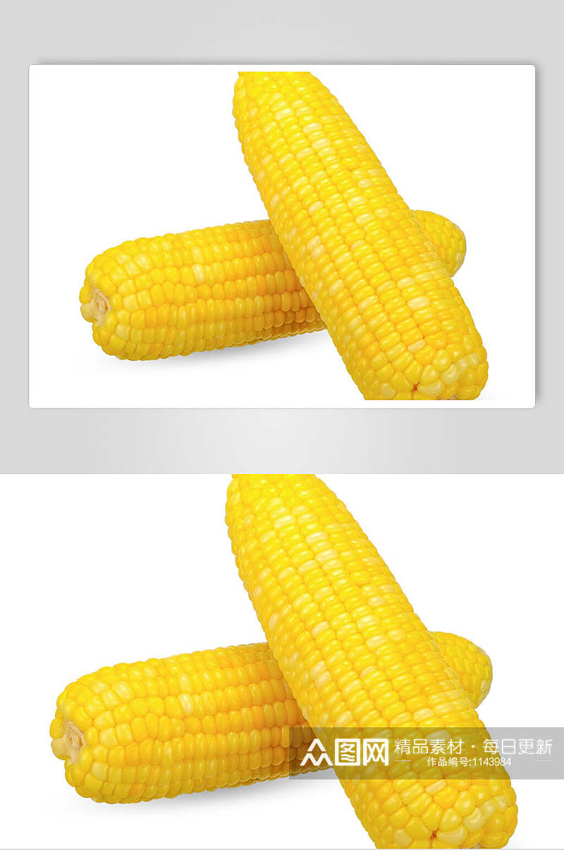 玉米高清图片素材