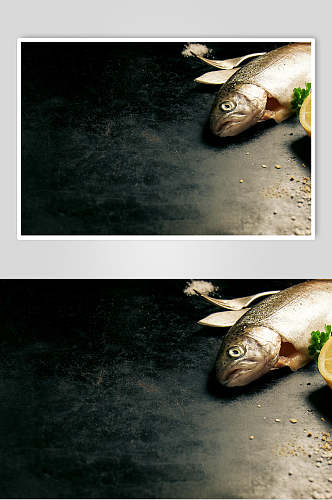 美食插画简洁待煮的鱼食材