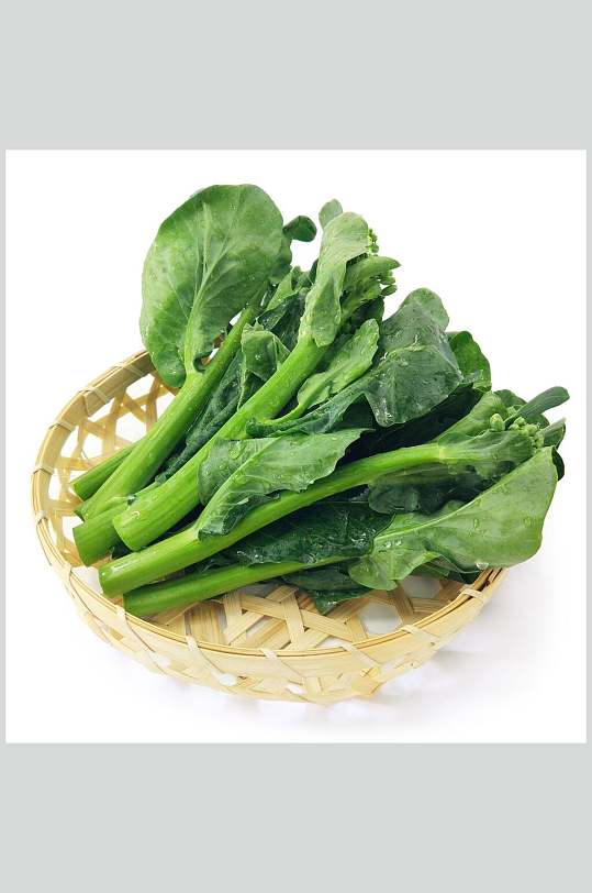 球花图片-球花素材下载-众图网