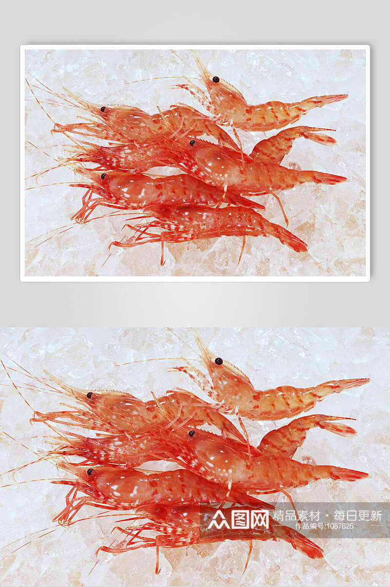 高清河虾海鲜食材图片素材