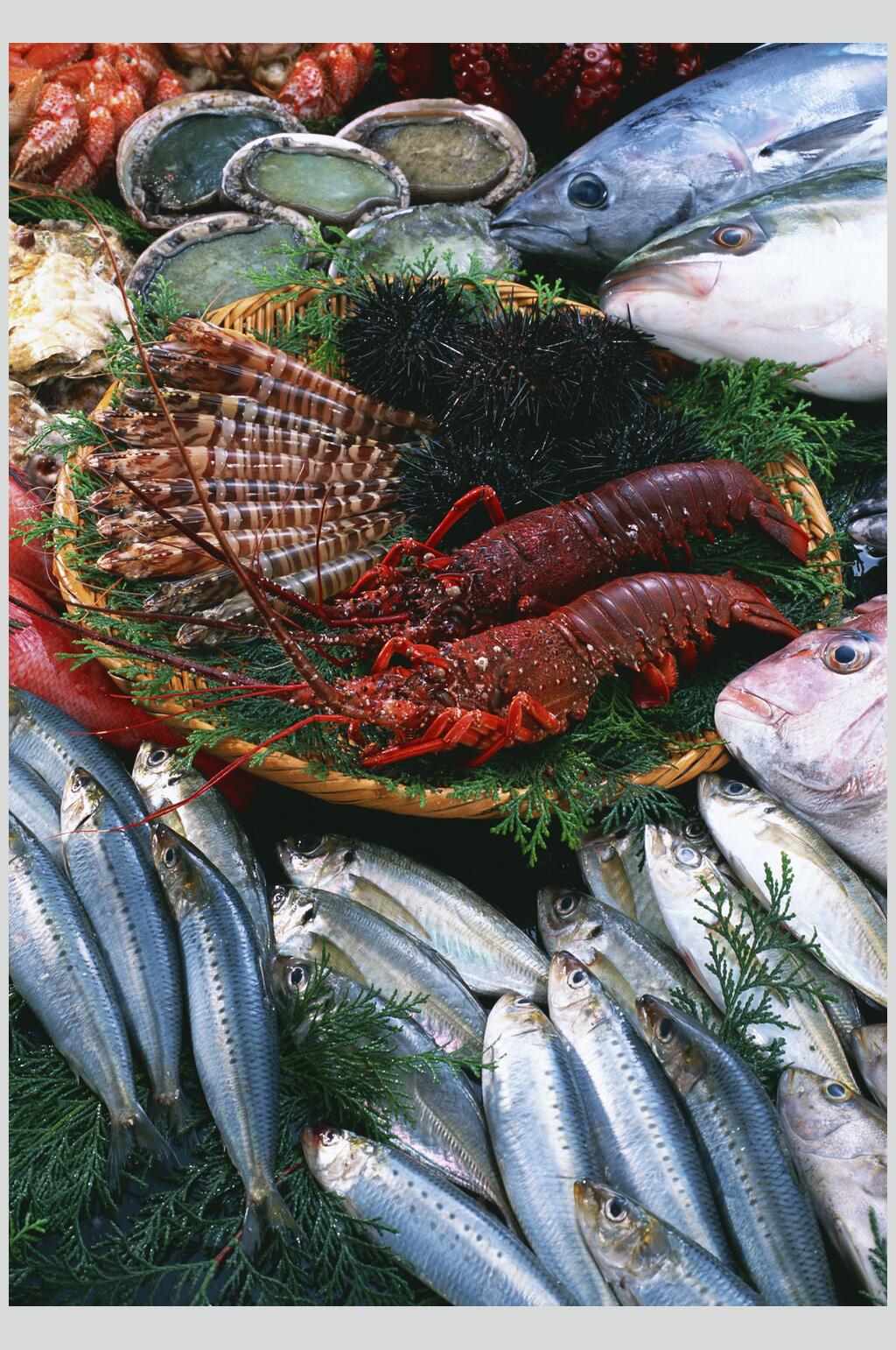 高清鱼虾蟹贝海鲜食材图片