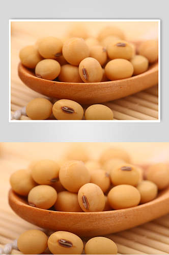 黄豆食品图片