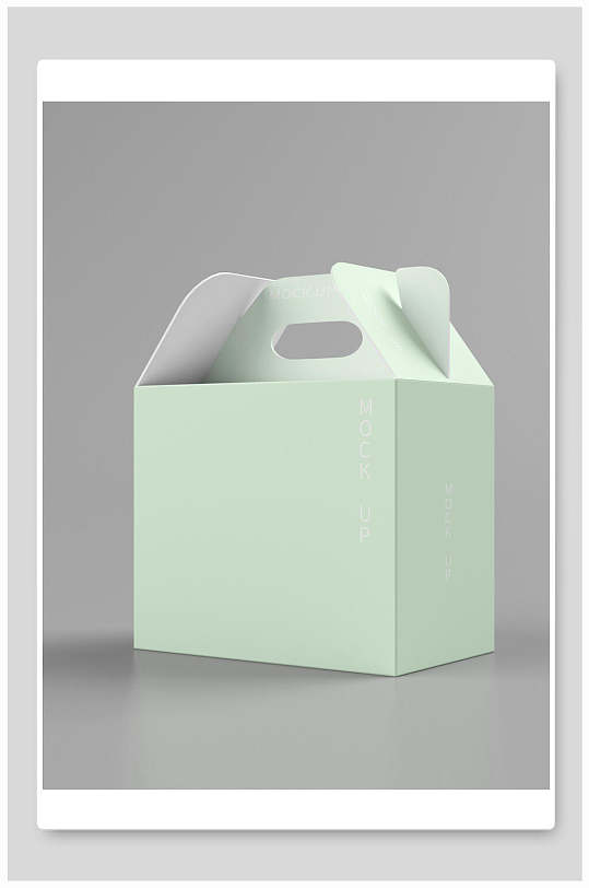 产品包装盒纸盒手提盒样机