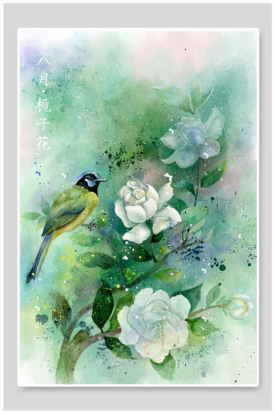 八月栀子花水彩国画插画
